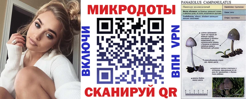 Галлюциногенные грибы MAGIC MUSHROOMS Муром